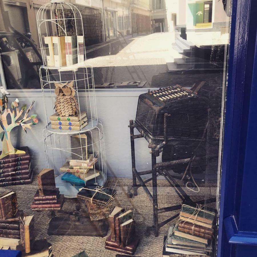 Le Bouquiniste, Centre Historique, Fibre, Ess, Rez-De-Chaussee, Bedinshop Romans-sur-Isère Exterior foto